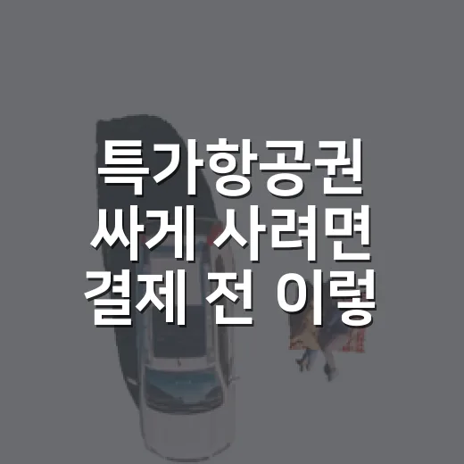 특가항공권 싸게 사려면 결제 전 이렇게 확인하세요 - 요약