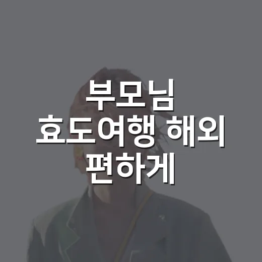 부모님 효도여행 해외 편하게 준비하는 방법 - 요약