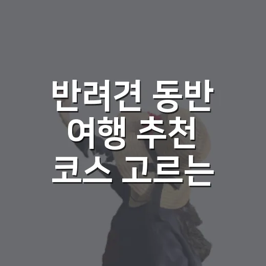반려견 동반 여행 추천 코스 고르는 방법 - 요약
