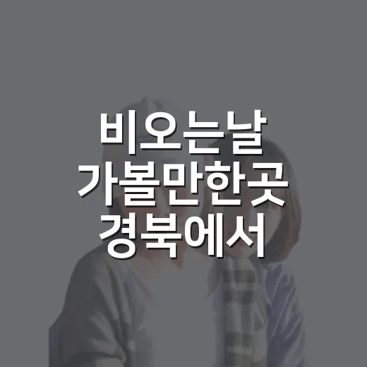 비오는날 가볼만한곳 경북에서 고르는 방법 - 요약