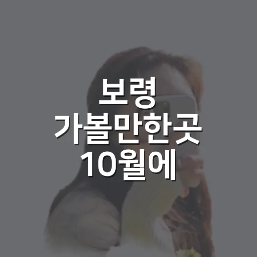 보령 가볼만한곳 10월에 알차게 둘러보는 방법 - 요약