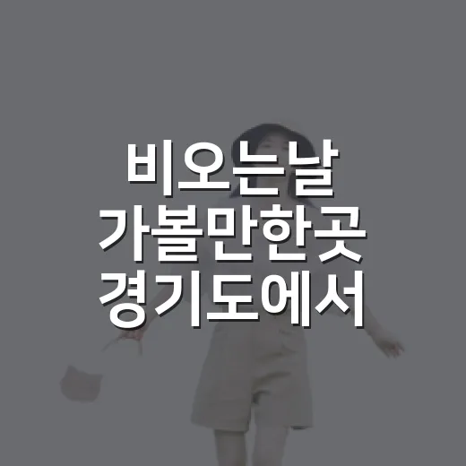 비오는날 가볼만한곳 경기도에서 고르는 방법 - 요약
