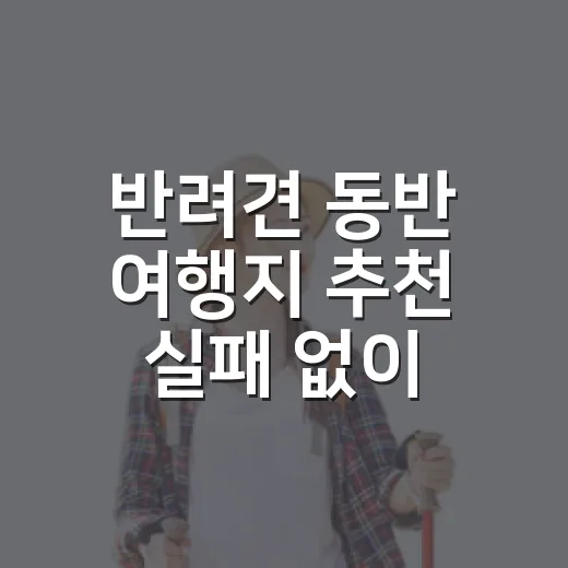 반려견 동반 여행지 추천 실패 없이 고르는 방법 - 요약