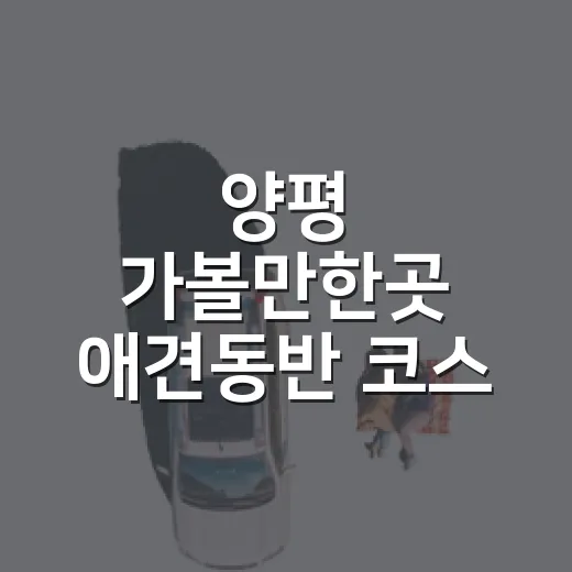 양평 가볼만한곳 애견동반 코스 짜는 방법 - 요약