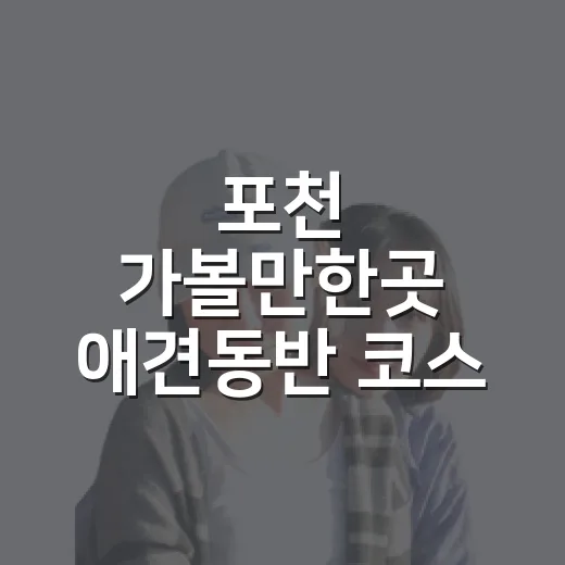 포천 가볼만한곳 애견동반 코스 고르는 방법 - 요약