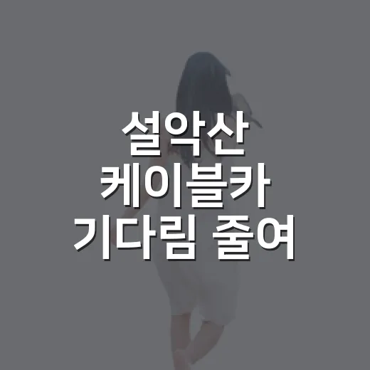 설악산 케이블카 기다림 줄여 타는 방법 - 요약