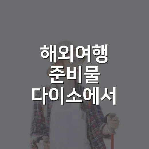 해외여행 준비물 다이소에서 고르는 방법 - 요약