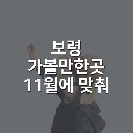 보령 가볼만한곳 11월에 맞춰 고르는 방법 - 요약