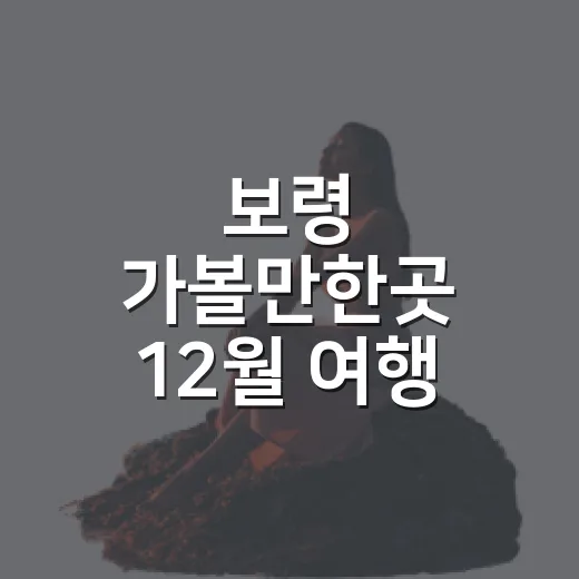 보령 가볼만한곳 12월 여행 코스 짜는 방법 - 요약