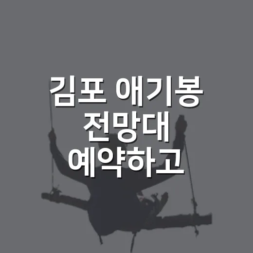 김포 애기봉 전망대 예약하고 편하게 다녀오는 방법 - 요약