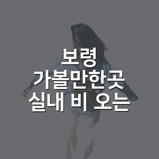 보령 가볼만한곳 실내 비 오는 날 고르는 방법 - 요약