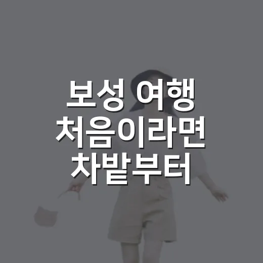 보성 여행 처음이라면 차밭부터 바다까지 걷는 방법 - 요약