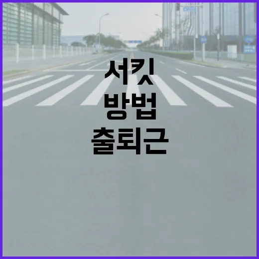 아반떼N 제대로 고르는 방법, 출퇴근과 서킷까지 생각한 선택 기준 - 요약