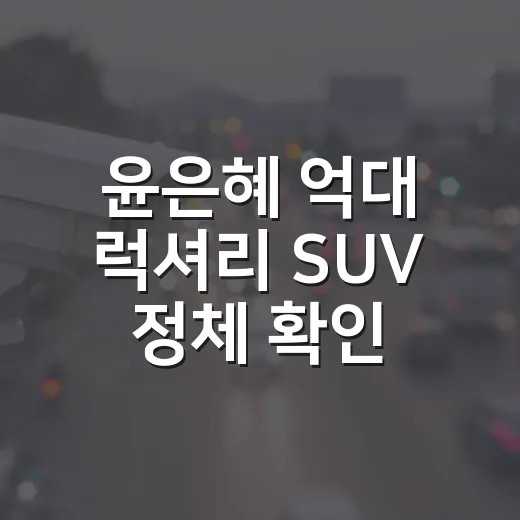 윤은혜 억대 럭셔리 SUV 정체 확인하려면 이렇게 보면 됩니다 - 요약