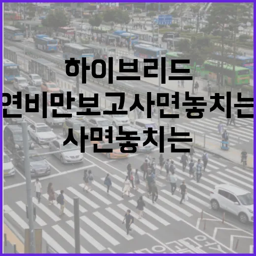 하이브리드자동차 제대로 고르는 방법, 연비만 보고 사면 놓치는 것들 - 요약