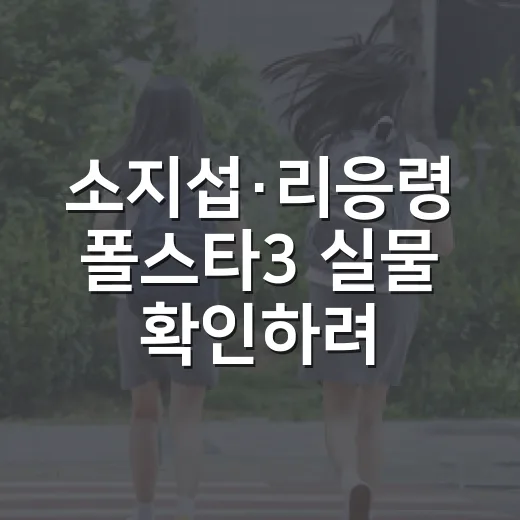 소지섭·리응령 폴스타3 실물 확인하려면 이렇게 보세요 - 요약