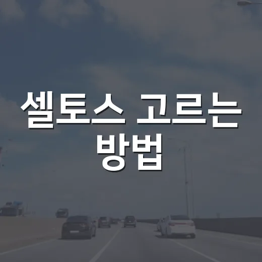 셀토스 고르는 방법, 가솔린과 하이브리드 옵션까지 이렇게 보면 쉽습니다 - 요약