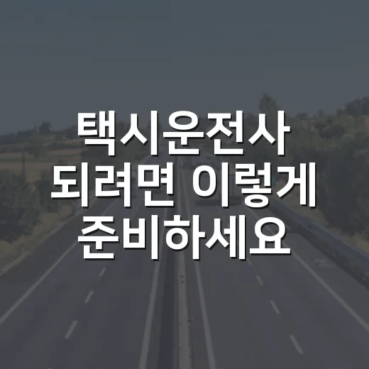 택시운전사 되려면 이렇게 준비하세요: 자격, 수입, 차량 관리까지 현실 가이드 - 요약