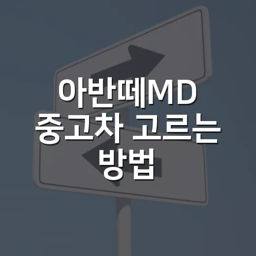 아반떼MD 중고차 고르는 방법, 초보자가 꼭 봐야 할 체크포인트 - 요약