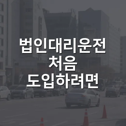 법인대리운전 처음 도입하려면 이렇게 준비하세요 - 요약