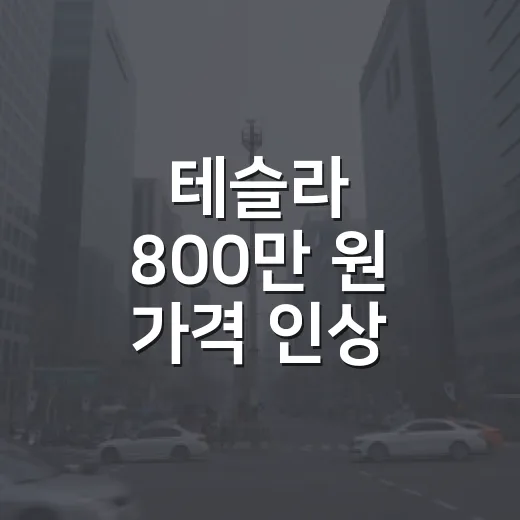 테슬라 800만 원 가격 인상, 계약 전 가격표 확인하는 방법 - 요약