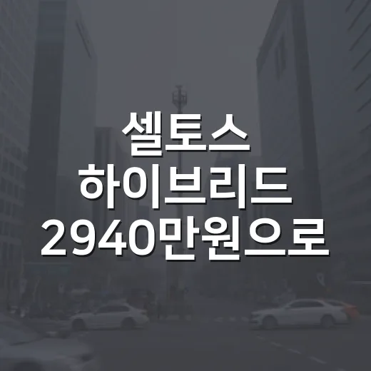 셀토스 하이브리드 2940만원으로 사려면 이렇게 따져보는 방법 - 요약