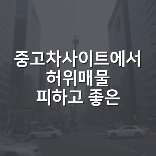 중고차사이트에서 허위매물 피하고 좋은 차 고르는 방법 - 요약