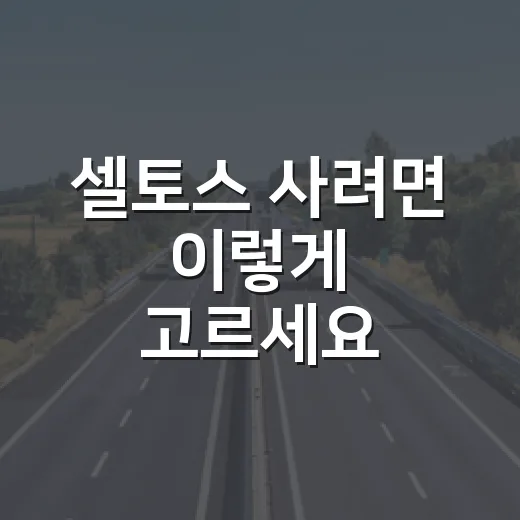 셀토스 사려면 이렇게 고르세요: 가솔린·하이브리드·옵션 선택 방법 - 요약