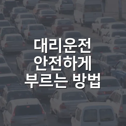 대리운전 안전하게 부르는 방법, 처음 이용할 때 꼭 확인할 것들 - 요약