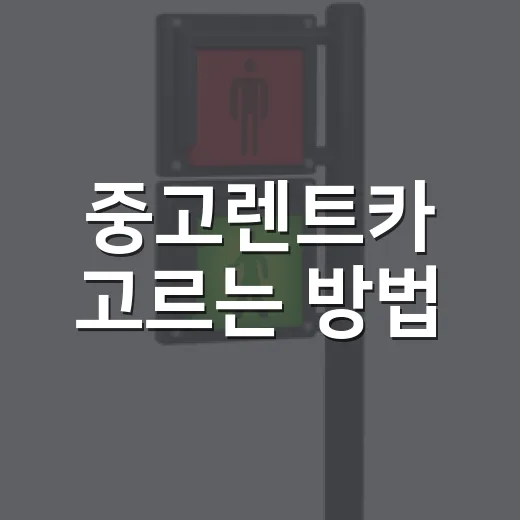 중고렌트카 고르는 방법, 월 납입료보다 먼저 봐야 할 것들 - 요약