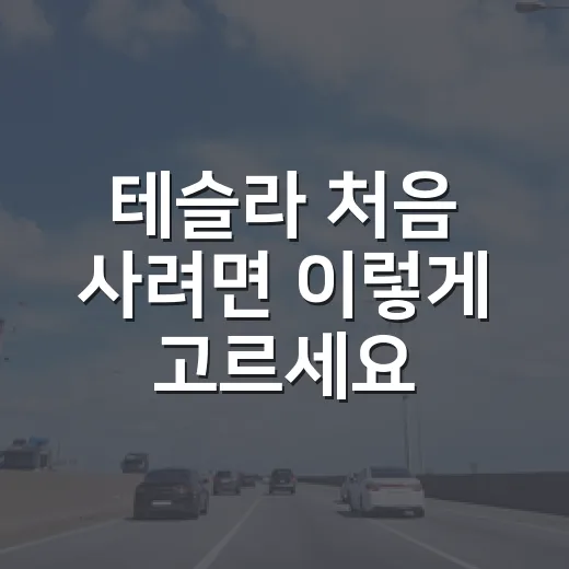 테슬라 처음 사려면 이렇게 고르세요: 모델 선택부터 충전, 유지비까지 - 요약