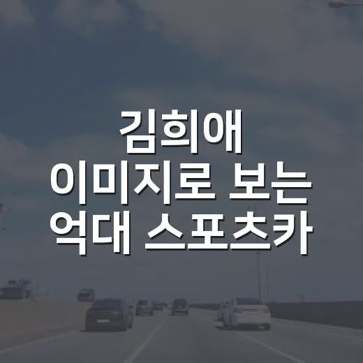 김희애 이미지로 보는 억대 스포츠카 선택하는 방법 - 요약