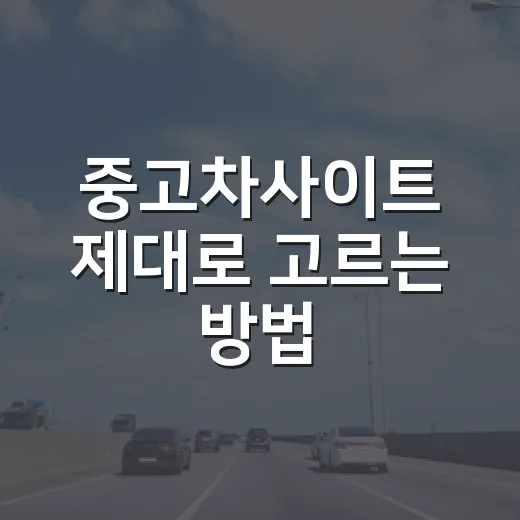 중고차사이트 제대로 고르는 방법, 허위매물 피하려면 이렇게 보세요 - 요약