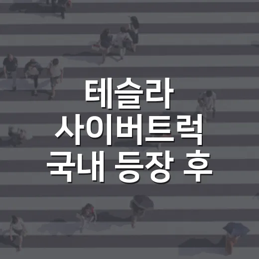 테슬라 사이버트럭 국내 등장 후 주행거리 확인하는 방법 - 요약