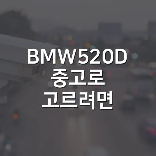BMW520D 중고로 고르려면 이렇게 확인하세요 - 요약