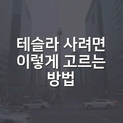 테슬라 사려면 이렇게 고르는 방법 - 요약