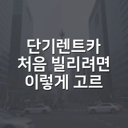 단기렌트카 처음 빌리려면 이렇게 고르세요 - 요약