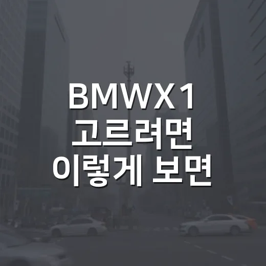 BMWX1 고르려면 이렇게 보면 됩니다: 트림·연비·공간 체크 방법 - 요약