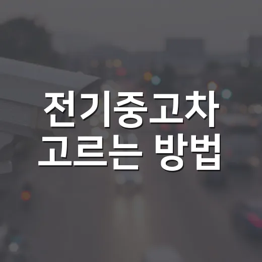 전기중고차 고르는 방법, 배터리부터 보조금 변수까지 이렇게 확인하세요 - 요약