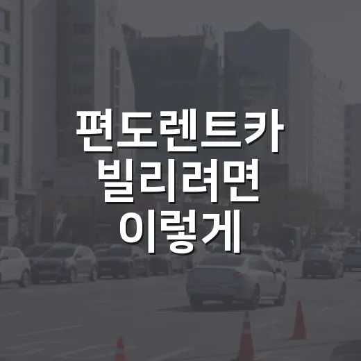 편도렌트카 빌리려면 이렇게 비교하면 비용이 덜 새어 나갑니다 - 요약