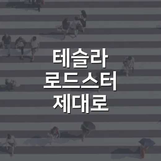 테슬라 로드스터 제대로 판단하는 방법, 예약 전 꼭 봐야 할 기준 - 요약
