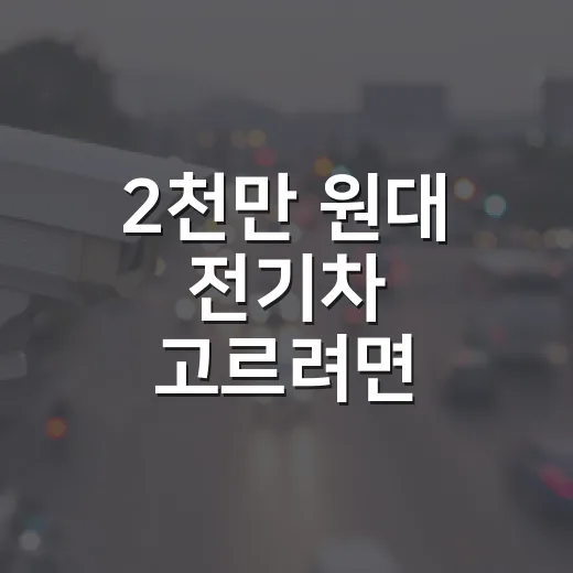 2천만 원대 전기차 고르려면 이렇게 봐야 합니다