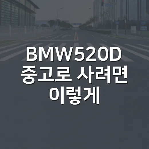 BMW520D 중고로 사려면 이렇게 확인하는 방법 - 요약