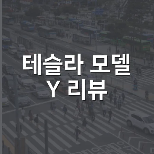 테슬라 모델 Y 리뷰, FSD 미지원이어도 구매를 고민하는 방법 - 요약