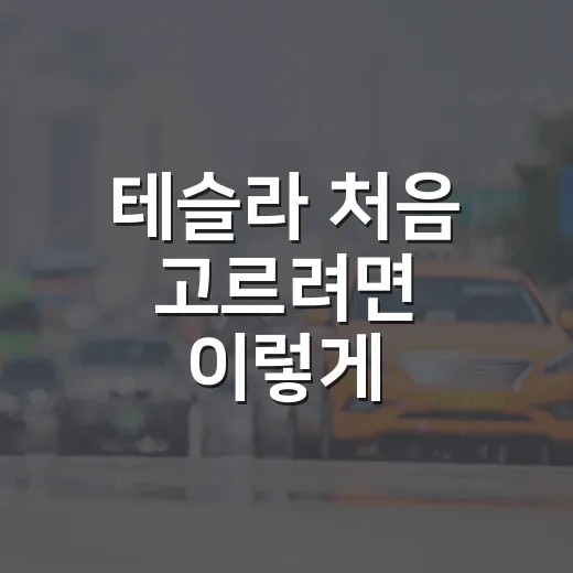 테슬라 처음 고르려면 이렇게 따져보는 방법 - 요약