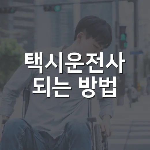 택시운전사 되는 방법, 자격시험부터 실제 수입 계산까지 초보자를 위한 준비법 - 요약