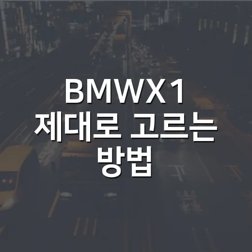 BMWX1 제대로 고르는 방법, 패밀리 SUV로 후회 줄이려면 이렇게 보세요 - 요약
