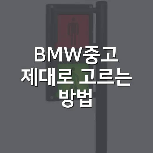 BMW중고 제대로 고르는 방법, 초보자가 놓치기 쉬운 비용까지 - 요약