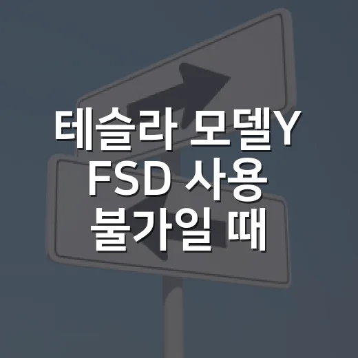 테슬라 모델Y FSD 사용 불가일 때 확인하는 방법 - 요약