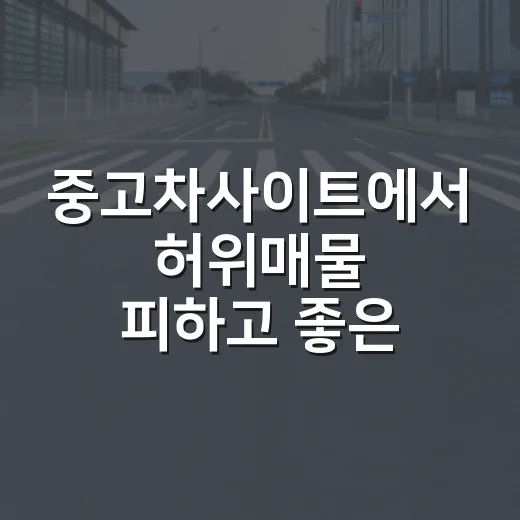 중고차사이트에서 허위매물 피하고 좋은 차 고르는 방법 - 요약